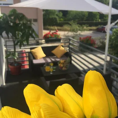 شقة Sunflower